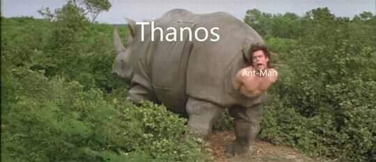 В преддверии «Мстителей: Финал» интернет разрывается от шуток про то, как Муравей победит Таноса - изображение 2 В преддверии «Мстителей: Финал» интернет разрывается от шуток про то, как Муравей победит Таноса - фото 2