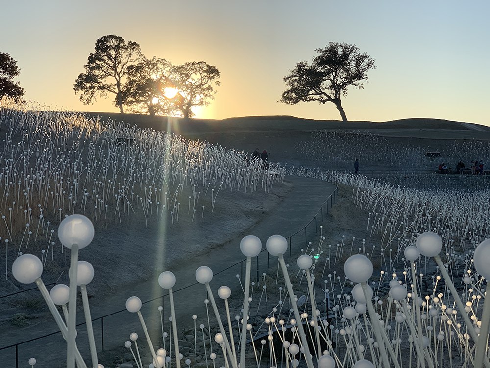 25 лучших снимков премии мобильной фотографии Mobile Photography Awards - фото 12