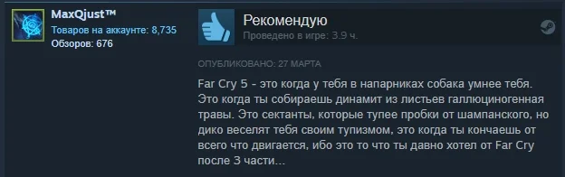 «Заслуживает своих денег»: отзывы пользователей Steam о Far Cry 5 - фото 9
