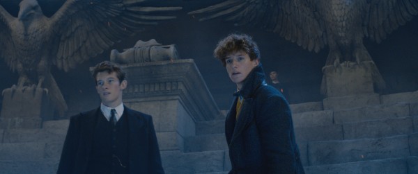 Описание всех ключевых персонажей «Фантастических тварей 2». Осторожно, спойлеры! - изображение 11 Описание всех ключевых персонажей «Фантастических тварей 2». Осторожно, спойлеры! - фото 11