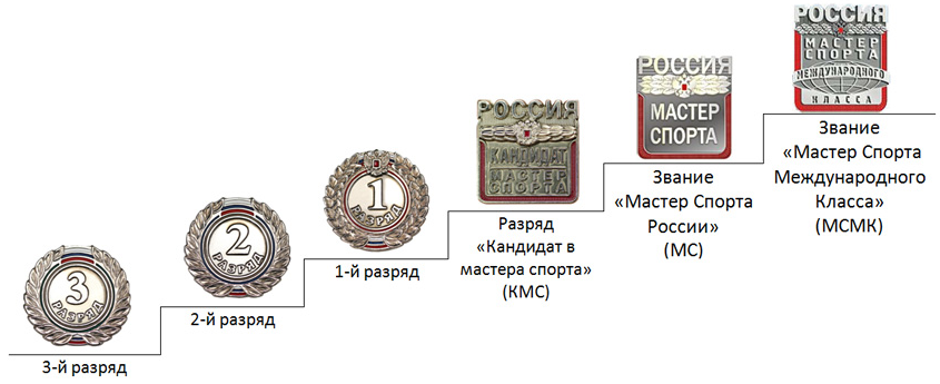Учащиеся курских школ стали первыми киберспортсменами, получившими спортивные разряды - фото 2