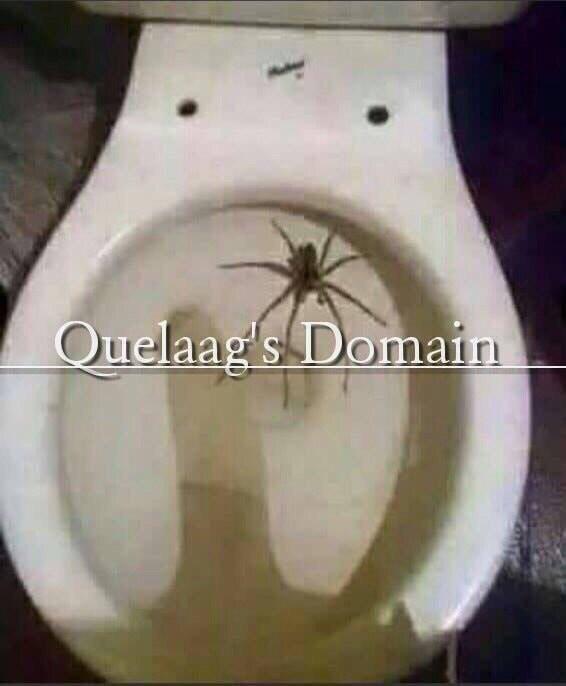 Геймеры нашли очень необычные аналогии для уровней из Dark Souls - фото 11