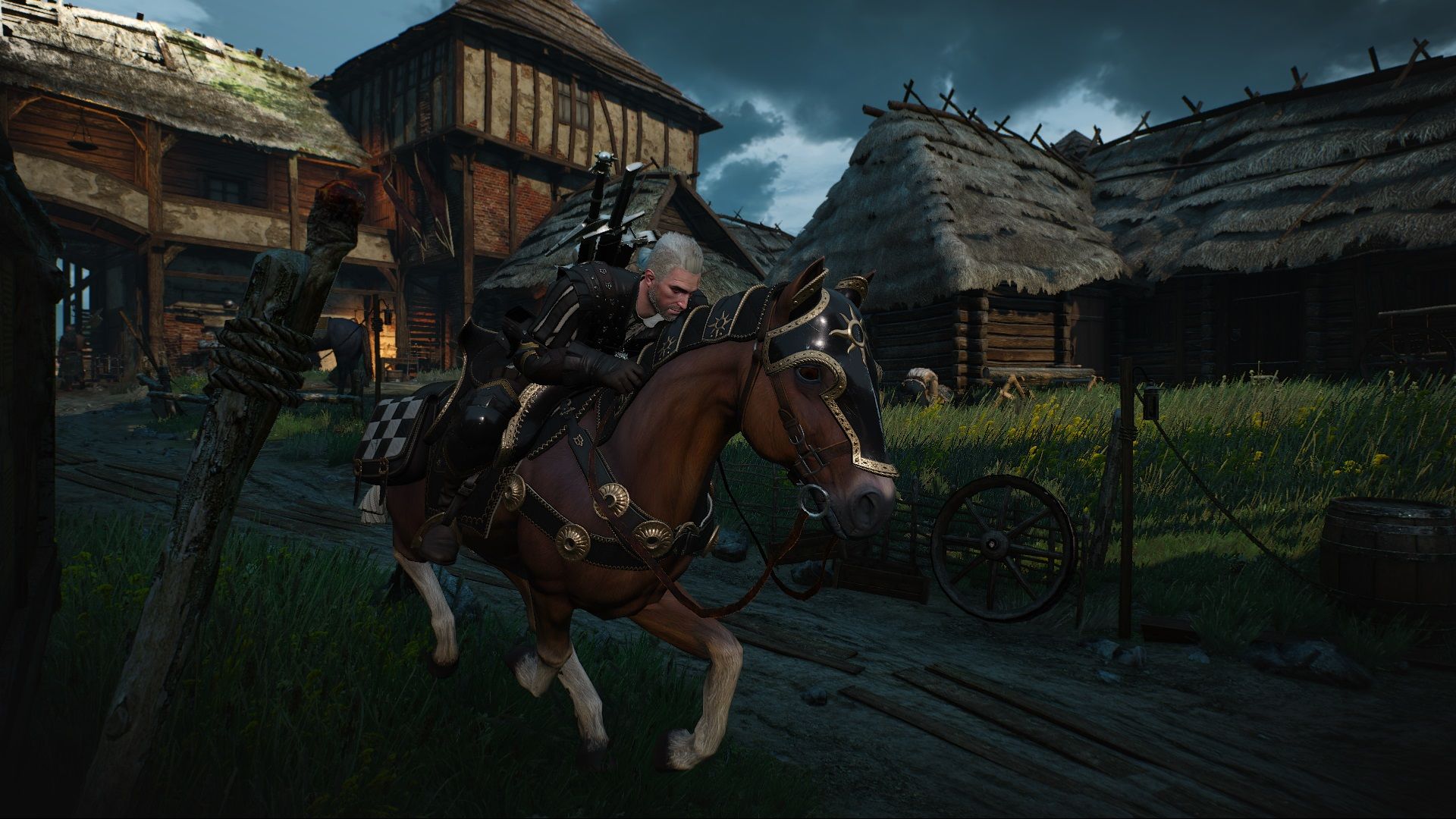 Быстрей плотва. Ведьмак Нильфгаардский конь. The Witcher 3 Wild Hunt плотва. Ведьмак 3 Дикая охота плотва. Ведьмак 3 Геральт и плотва.