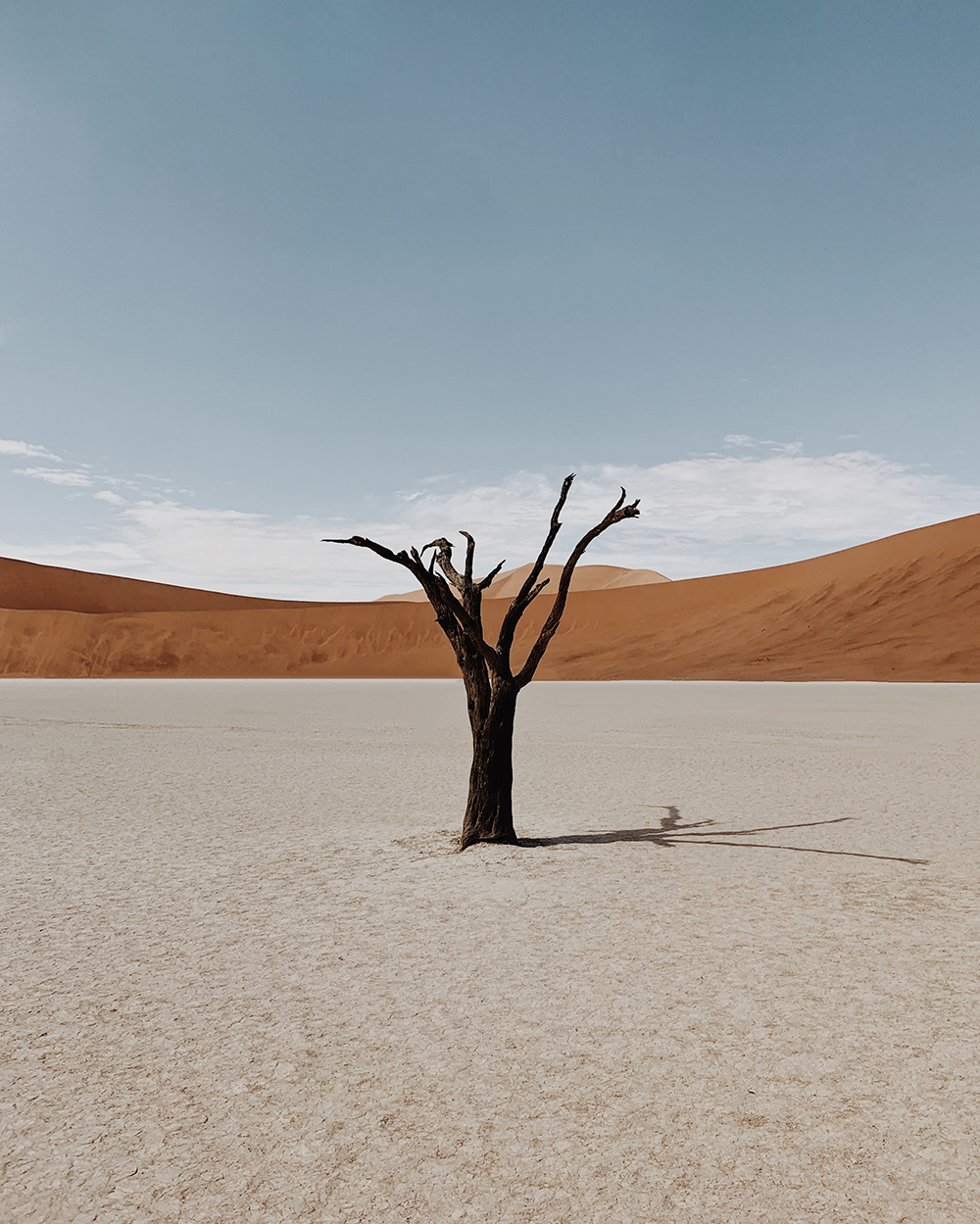 25 лучших снимков премии мобильной фотографии Mobile Photography Awards - фото 8