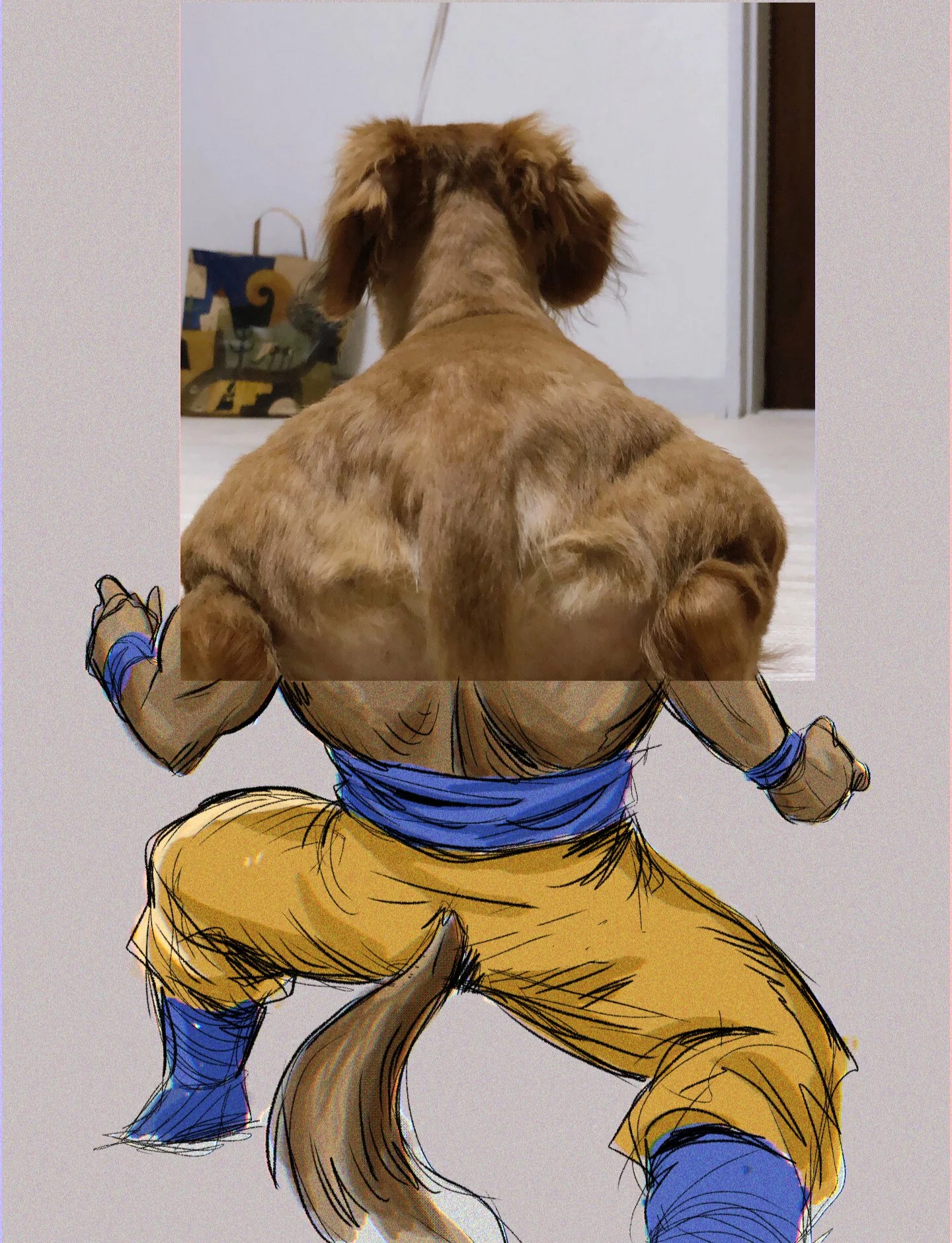 Сильный мускулистый пес. Собака с мускулами. Мышцы собаки. Накаченная собака. Собака качок.
