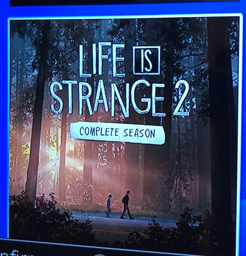 Обложка Life is Strange 2 утекла в Сеть за сутки до анонса. Главная фанатская теория подтвердилась! - фото 2