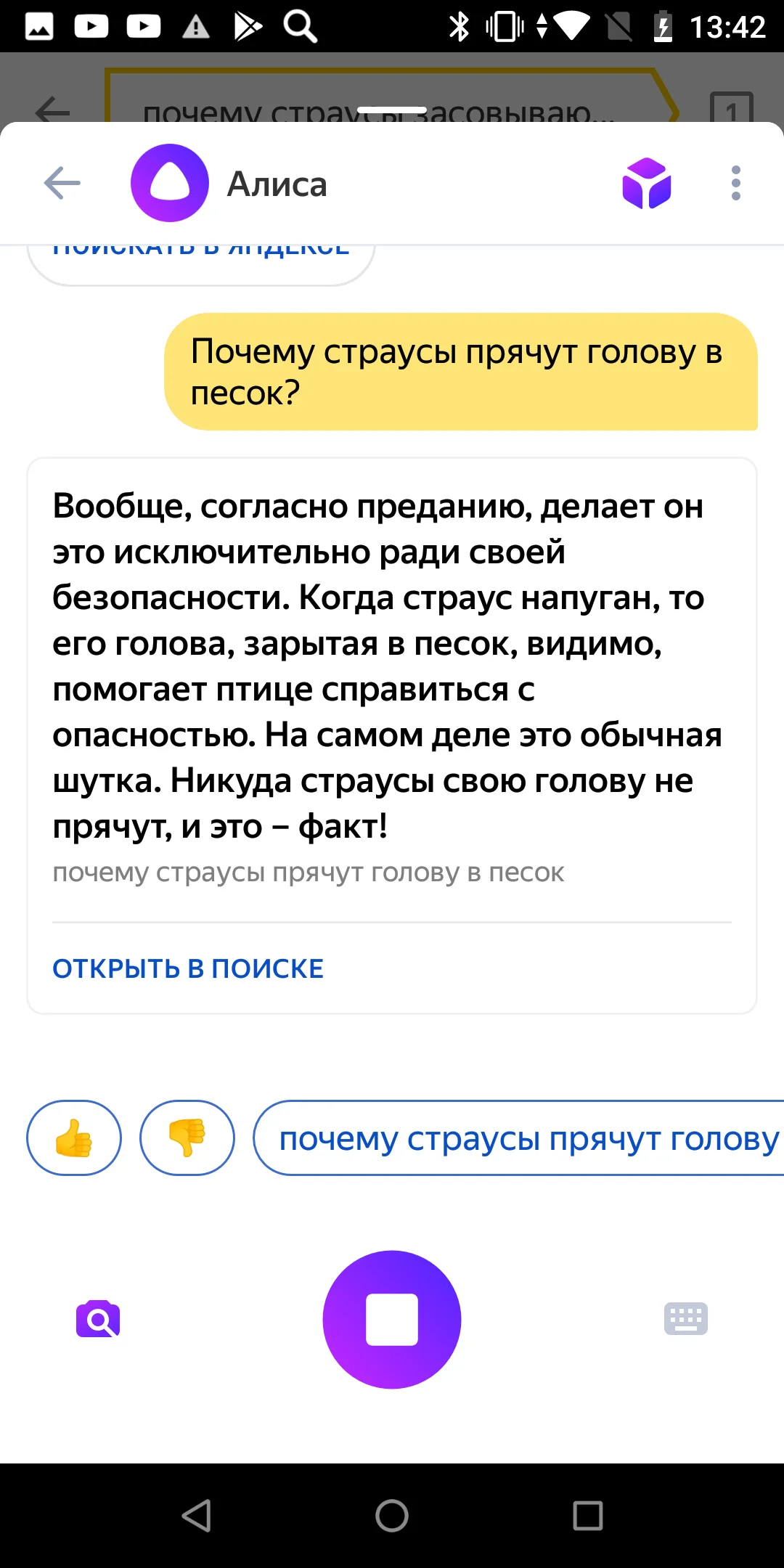 Google лучше алисы. Гугл против Алисы. Алиса (голосовой помощник).