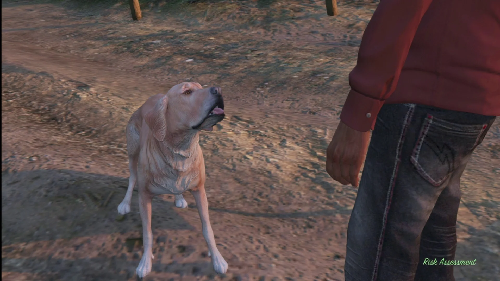 Гифка дня: милая и невозмутимая собачка в Grand Theft Auto V - фото 1