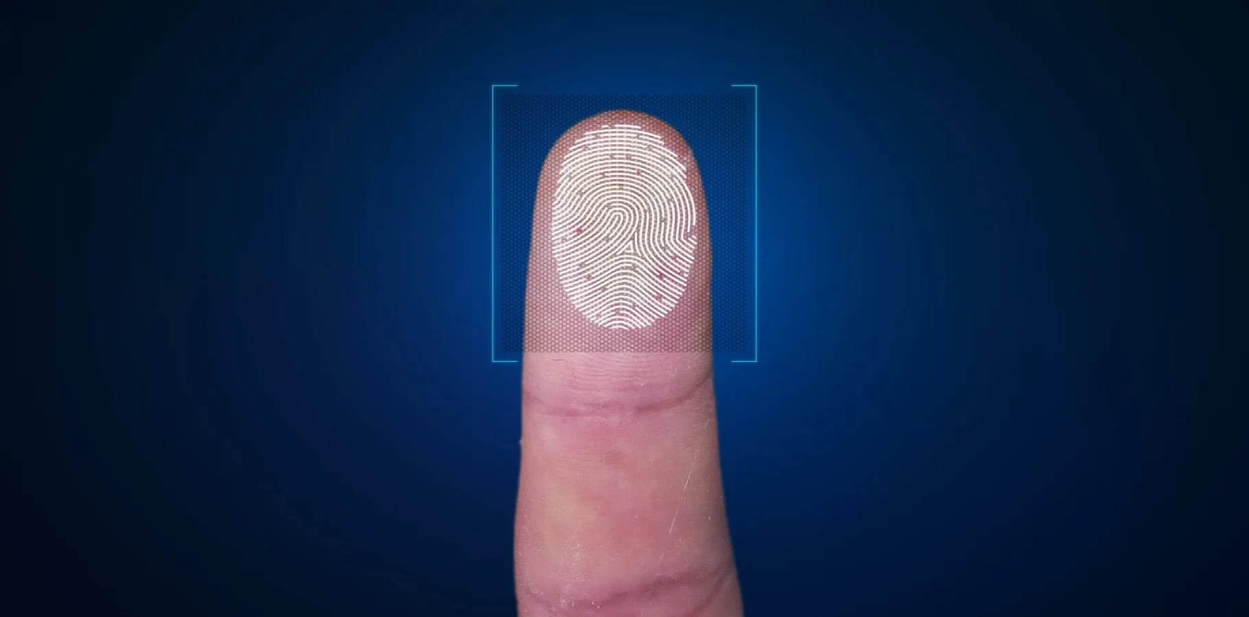 Samsung Galaxy Note9 получит первый сканер отпечатка пальца в стекле. Наконец-то!  - фото 1