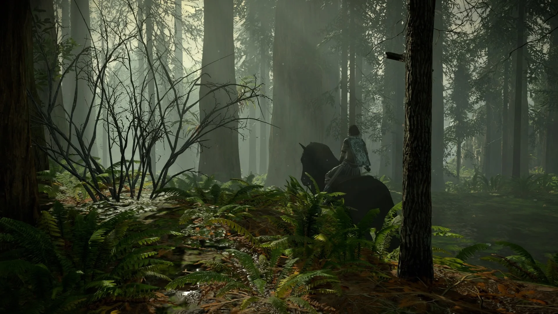 20 изумительных скриншотов Shadow of the Colossus для PS4 - фото 8