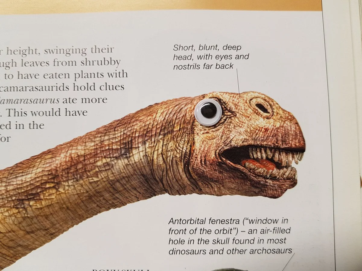 Художница добавила выпученные глаза на изображения динозавров. И они стали выглядеть намного лучше - фото 15