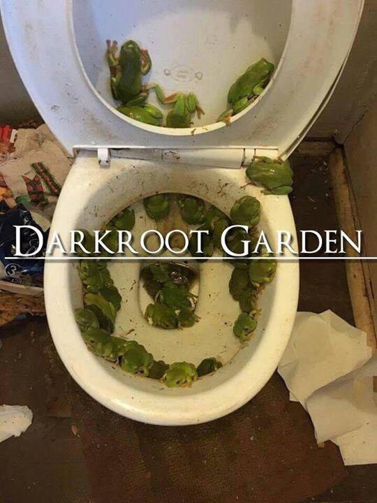 Геймеры нашли очень необычные аналогии для уровней из Dark Souls - фото 10