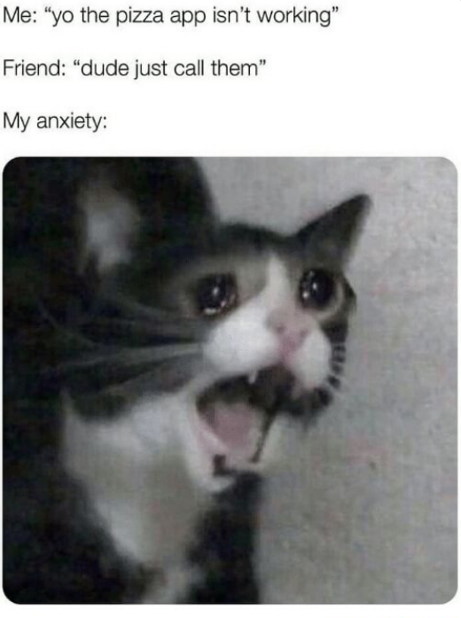 Умерла «кричащая кошка» Инки. Она была героиней мемов - фото 2