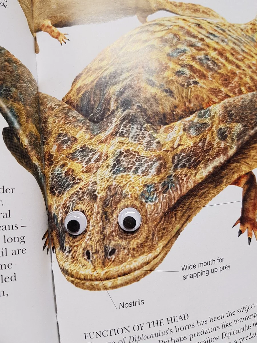 Художница добавила выпученные глаза на изображения динозавров. И они стали выглядеть намного лучше - фото 16