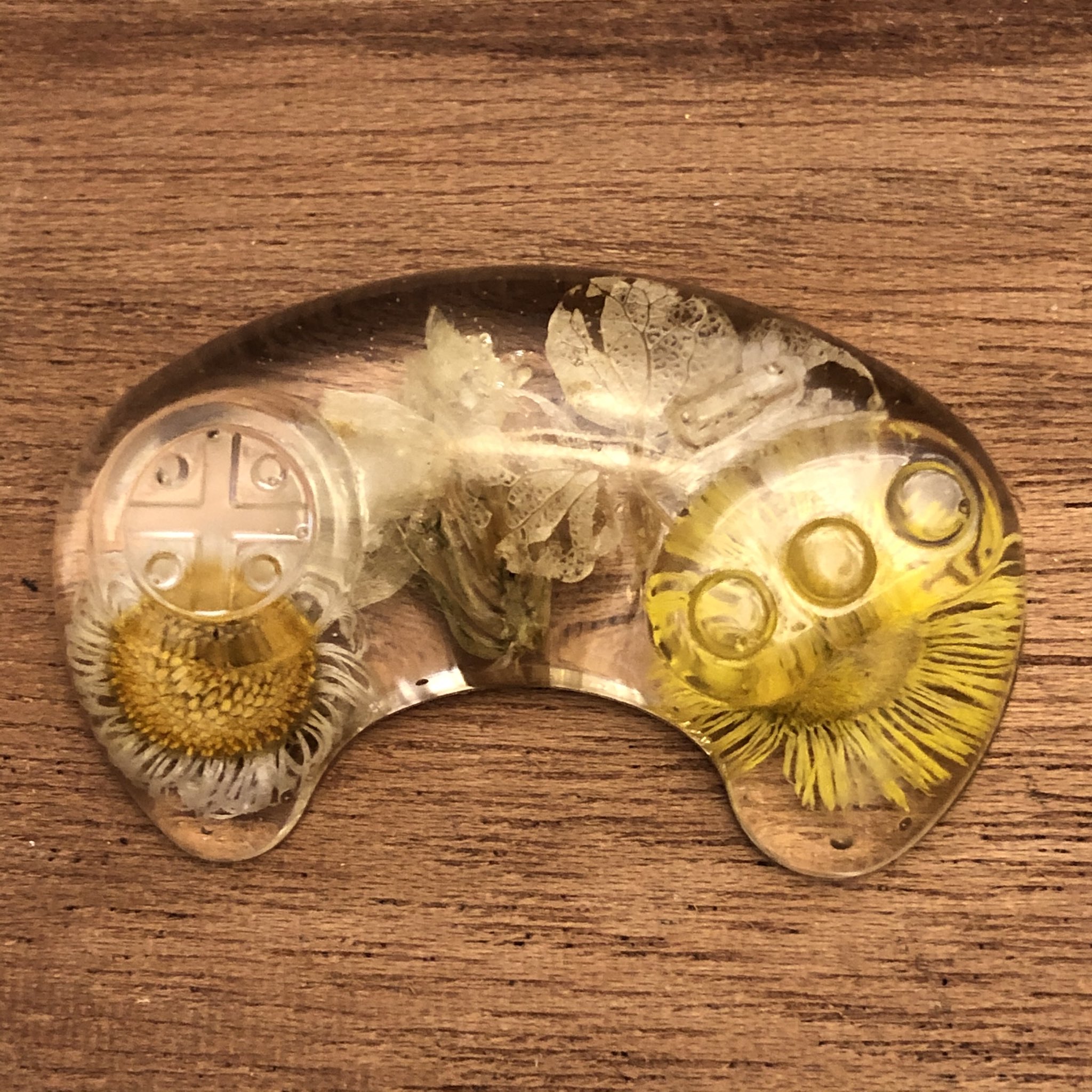 Девушка сделала декоративные прозрачные геймпады с цветами внутри - фото 2