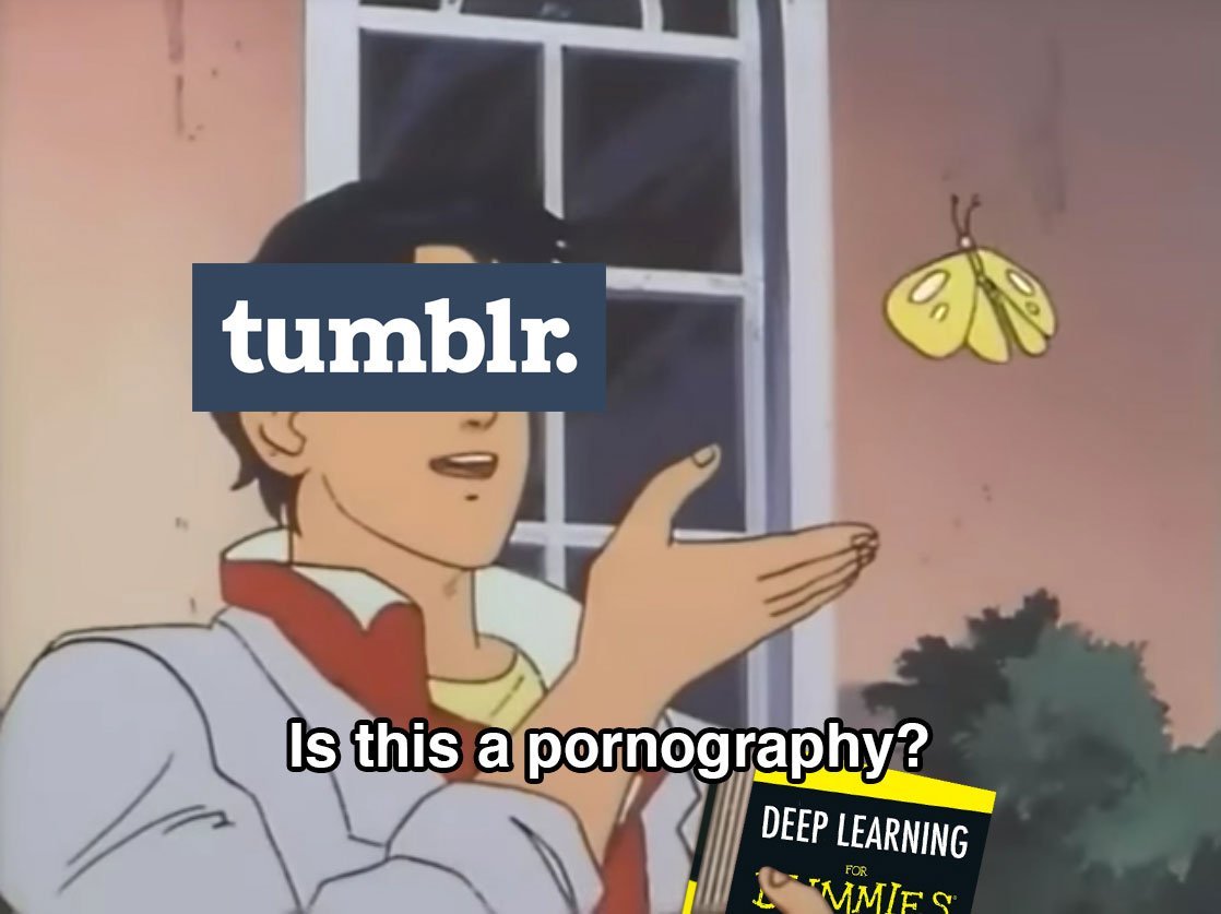 Соцсеть Tumblr запретила весь контент для взрослых. Под удар попали даже самые невинные картинки - изображение 1 Соцсеть Tumblr запретила весь контент для взрослых. Под удар попали даже самые невинные картинки - фото 1