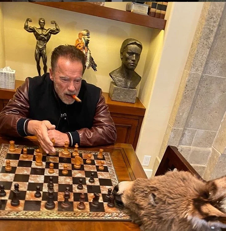 Шварценеггер играет в шахматы с ослом. Милее самоизоляцию представить трудно - фото 1