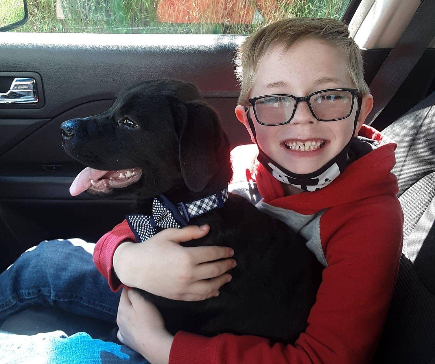 Милота дня: мальчик продал свои карточки Pokemon, чтобы вылечить щенка  - фото 2