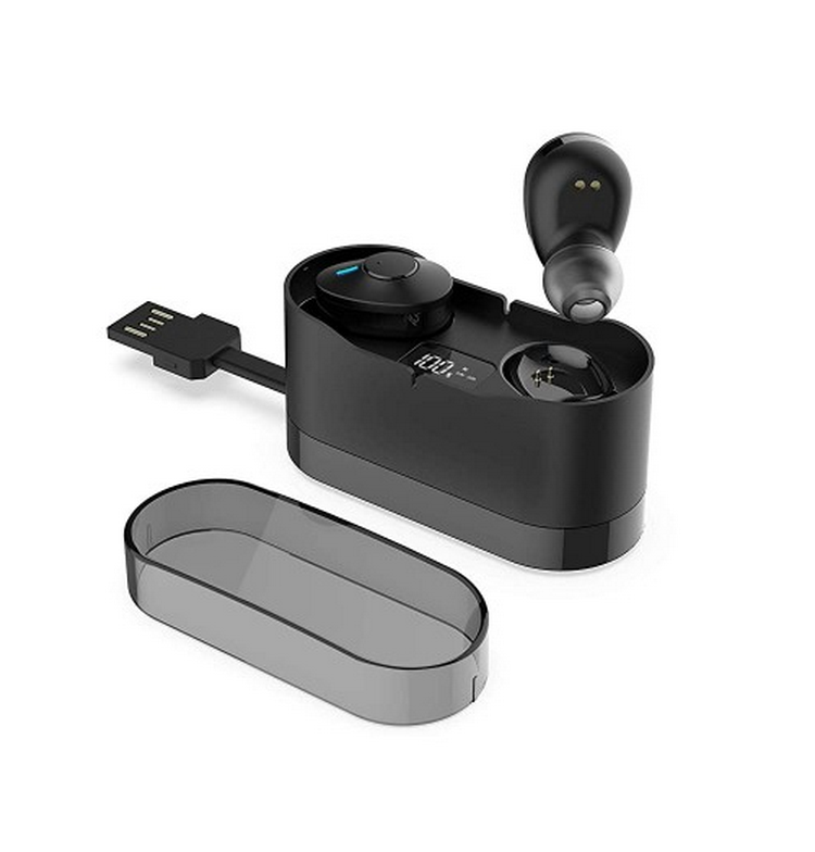 Acer True Wireless Audio Earbuds (GAHR 011)