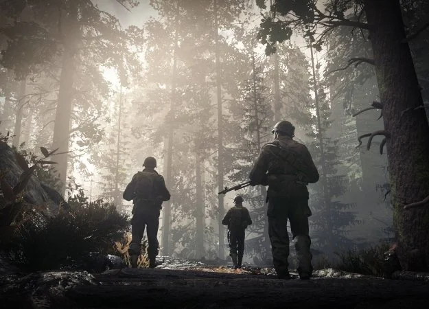 Системные требования Call of Duty: WWII. А у вас пойдет? - фото 1