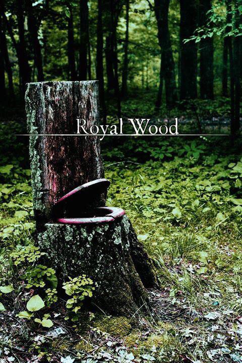 Геймеры нашли очень необычные аналогии для уровней из Dark Souls - фото 12