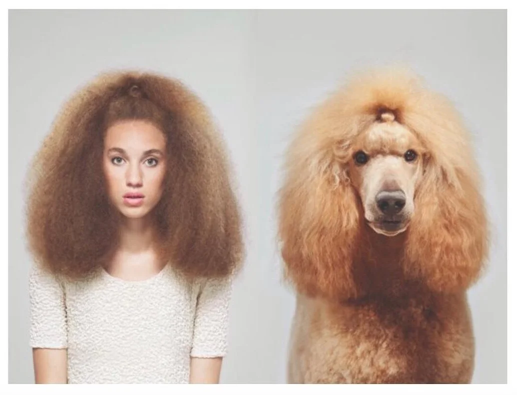 Фотограф делает снимки людей и собак, которые выглядят как двойники - фото 13