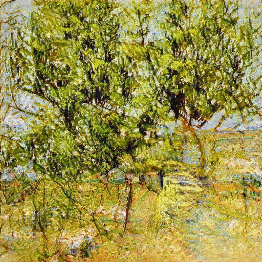 Оливковая роща