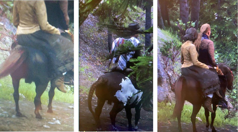 Баг превратил кобылу в жеребца в Red Dead Online - изображение 1 Баг превратил кобылу в жеребца в Red Dead Online - фото 1