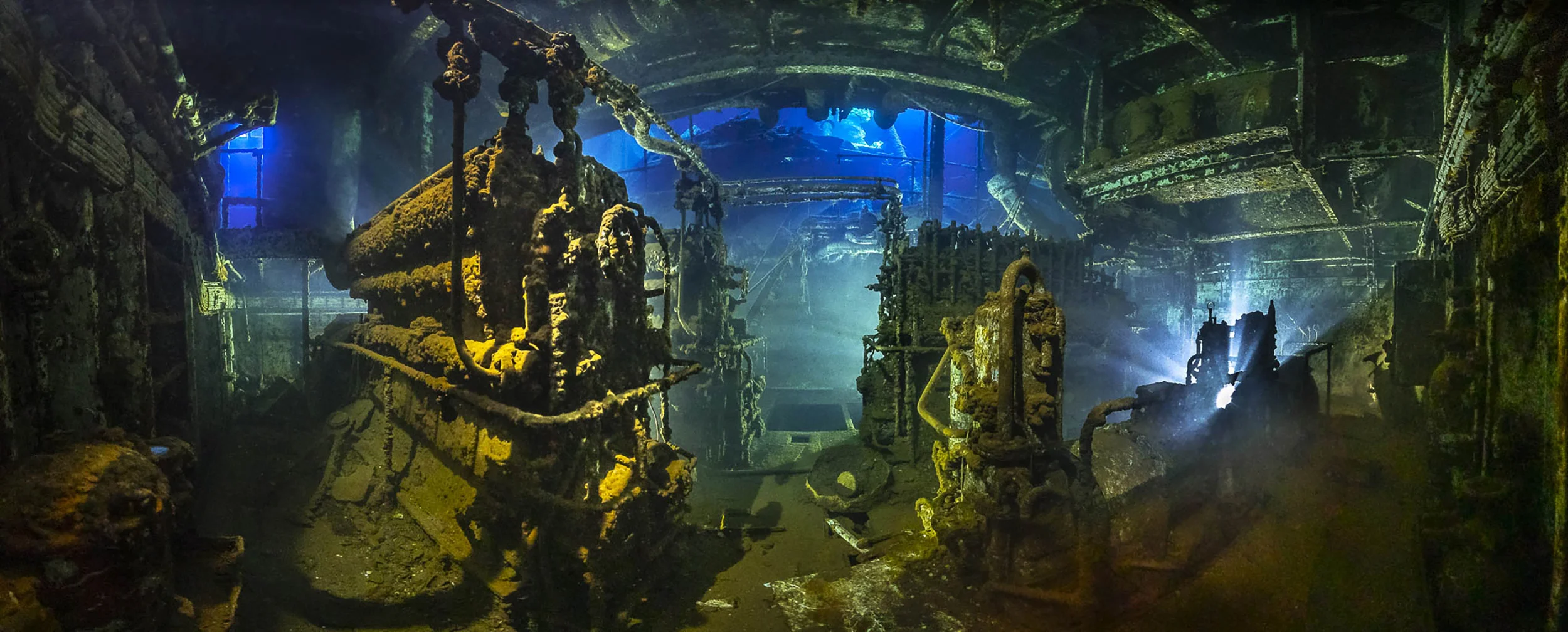 30 завораживающих фотографий подводного мира - фото 3