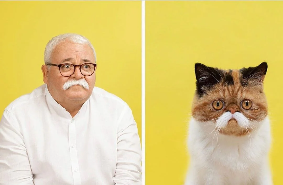 Фотограф делает снимки людей и котов, которые выглядят как двойники - фото 2