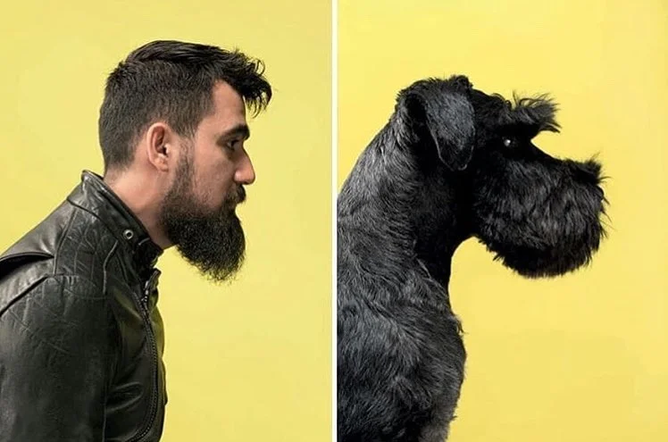 Фотограф делает снимки людей и собак, которые выглядят как двойники - фото 6