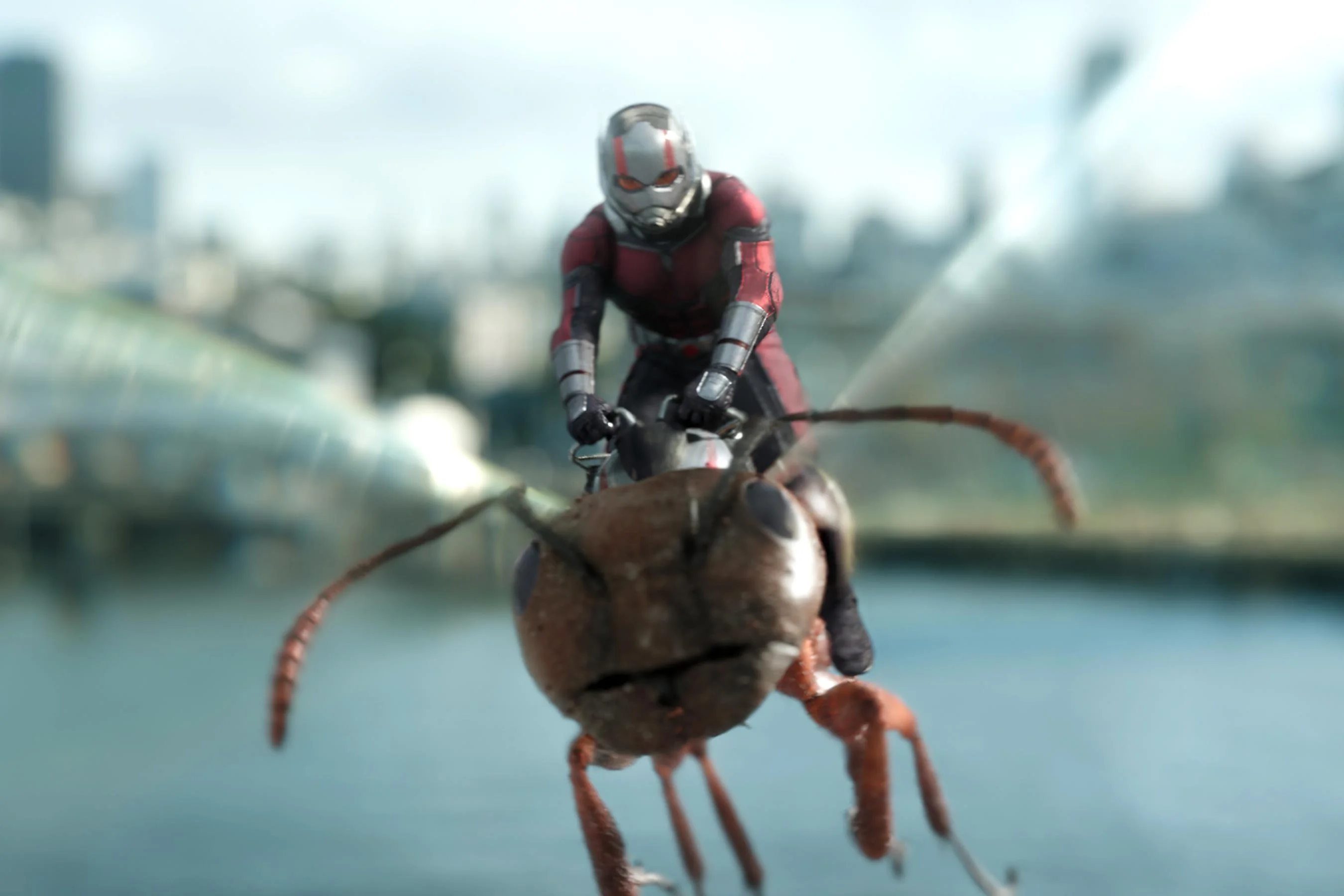 50 неудобных вопросов к фильму «Человек-муравей и Оса» - фото 3