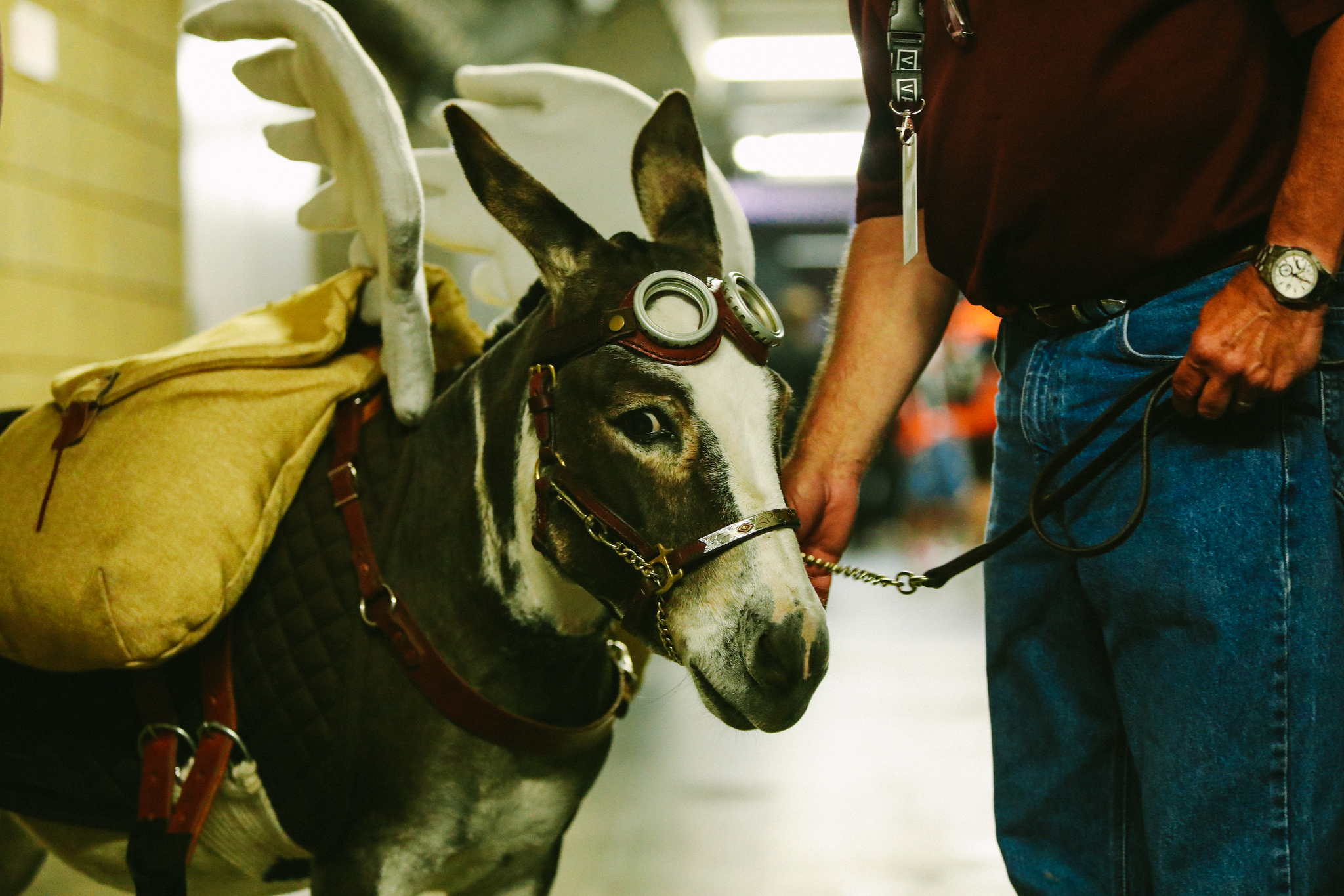 Киберспорт — относительно молодая индустрия, поэтому ошибок, влекущих за собой неудачи, никак не избежать. Шишки набивают все. Уходящий год не стал исключением, и многие решения оказались провальными. Разбираемся, что же пошло не так в 2017 году.