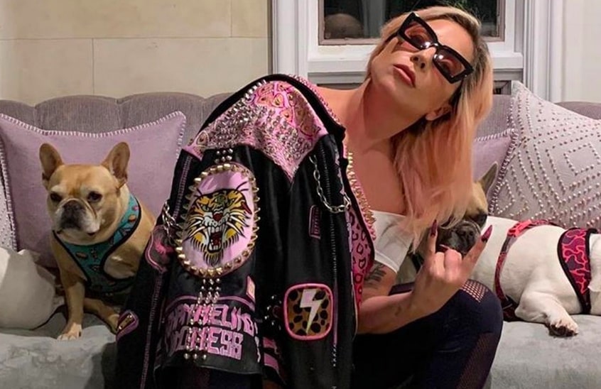 В выгульщика собак Леди Гаги стреляли и украли животных - фото 1