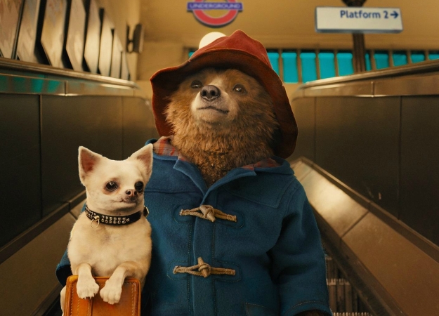 «Приключения Паддингтона 2» стал самым высоко оцененным фильмом  за всю историю Rotten Tomatoes - фото 1