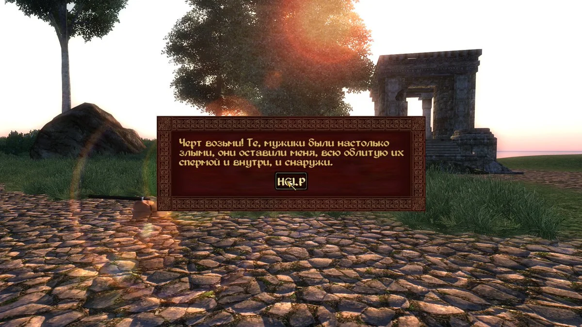 Игрок решил вспомнить ​The Elder Scrolls IV: Oblivion﻿, а попал в самый лучший порнофанфик на земле! - фото 3