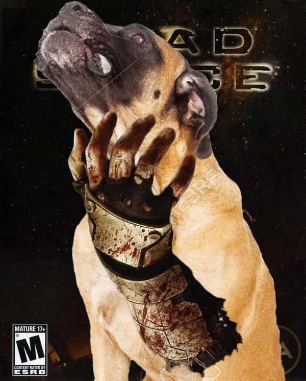 Пользователи ResetEra превратили обложки видеоигр в мем с поглаживанием собаки - фото 14