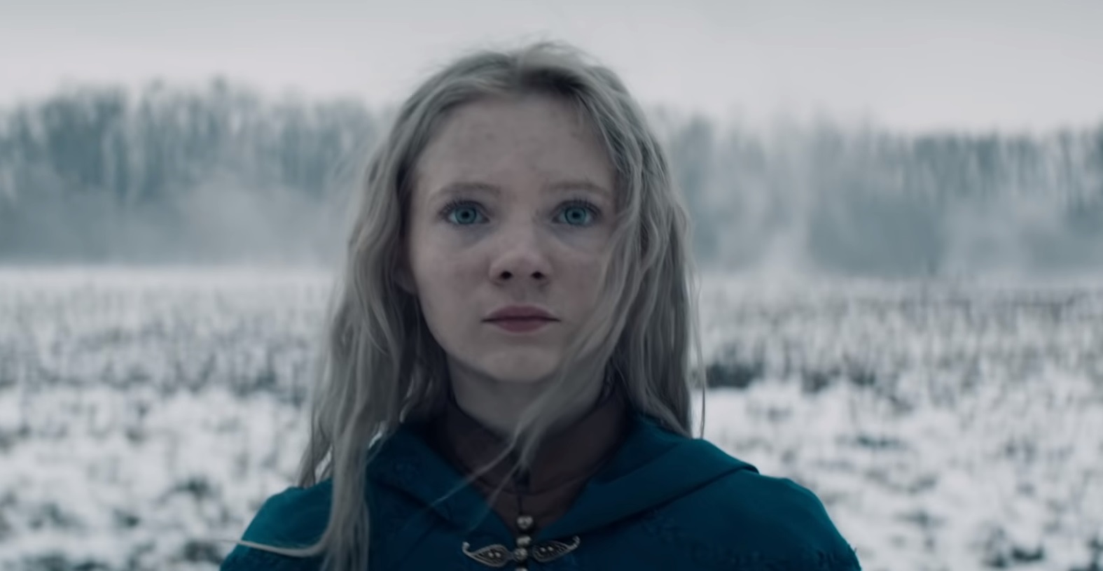 Кто кого играет в «Ведьмаке» от Netflix - изображение 1 Кто кого играет в «Ведьмаке» от Netflix - фото 1