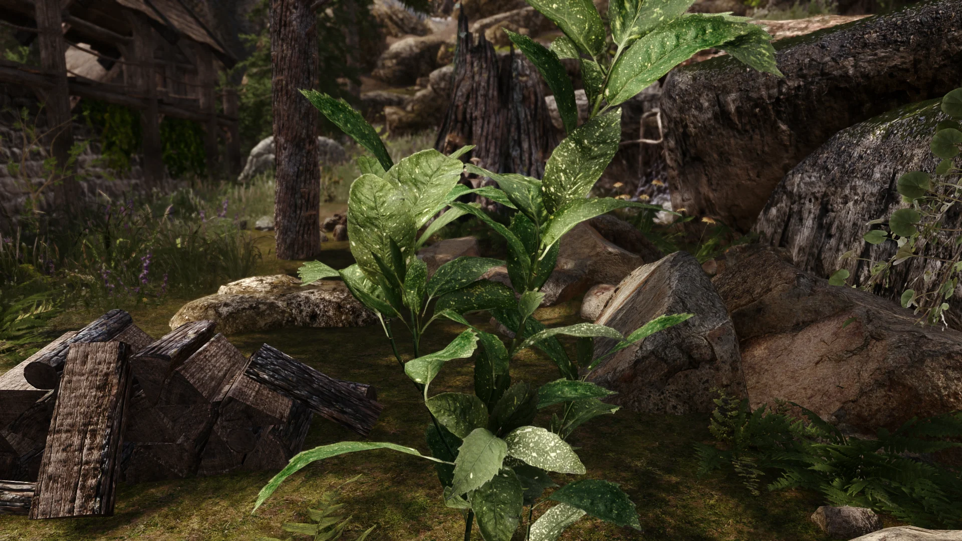Этот мод для Skyrim сделает растительность по-настоящему реалистичной - фото 1