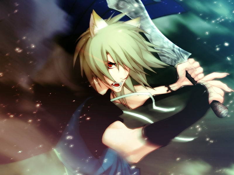 Lamento beyond the void прохождение