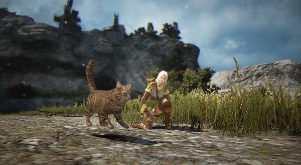 Итоги третьего этапа ЗБТ Black Desert в Корее. - Изображение 4 Итоги третьего этапа ЗБТ Black Desert в Корее. - Изображение 4