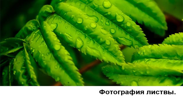 Когда увидим фотореализм ?. - Изображение 9 Когда увидим фотореализм ?. - Изображение 9