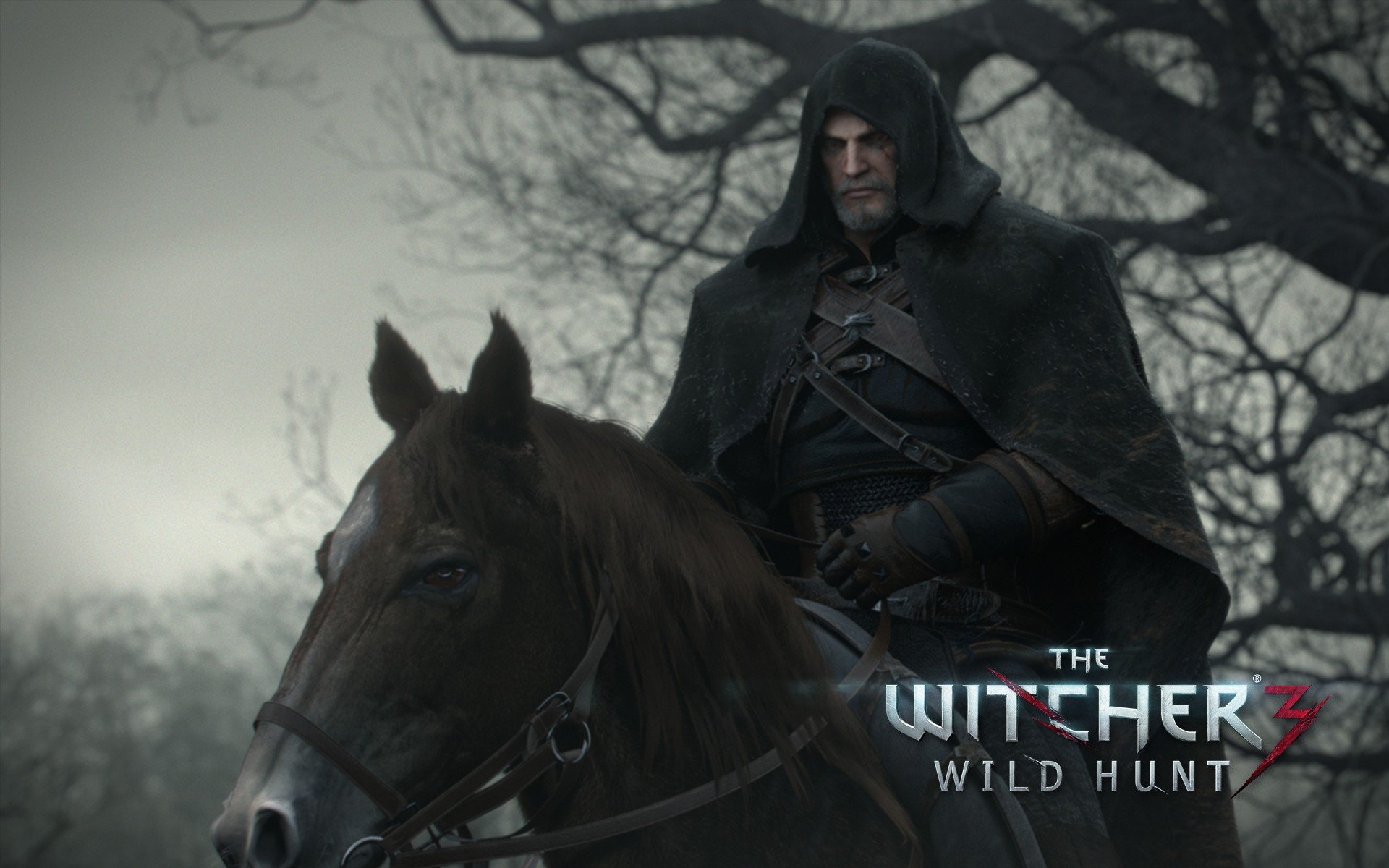 The Witcher 3: Wild Hunt. Все самое интересное за прошедшее время. Новые факты о игре. • Появилось огромное коли .... - Изображение 13 The Witcher 3: Wild Hunt. Все самое интересное за прошедшее время. Новые факты о игре. • Появилось огромное коли .... - Изображение 13