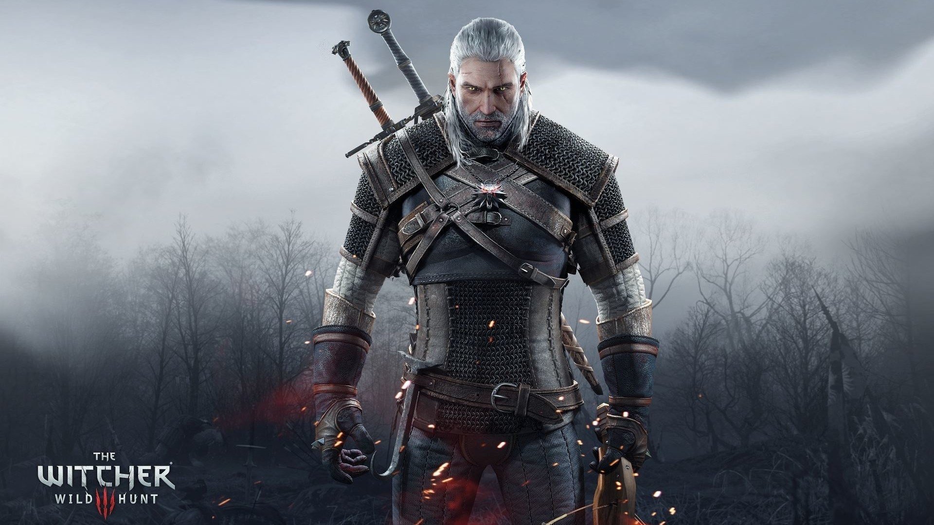 The Witcher 3: Wild Hunt. Ответы на вопросы, новые факты и информация о игре. Сводка вопросов и ответов по игре, в .... - Изображение 20 The Witcher 3: Wild Hunt. Ответы на вопросы, новые факты и информация о игре. Сводка вопросов и ответов по игре, в .... - Изображение 20