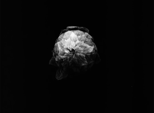 Resonance. - Изображение 3 Resonance. - Изображение 3