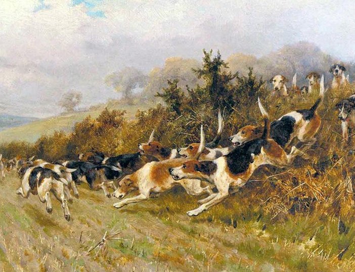 Способы охоты на грифоних. - Изображение 5 Способы охоты на грифоних. - Изображение 5
