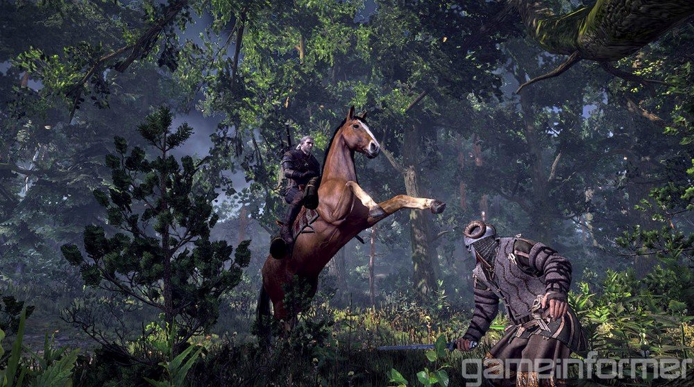 Witcher 3. За кадром. "Бред сивой кобылы". - Изображение 7 Witcher 3. За кадром. "Бред сивой кобылы". - Изображение 7