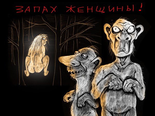 КОЛХУИ. - Изображение 15 КОЛХУИ. - Изображение 15