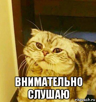 Конкурс "Одиночество в сети". - Изображение 4 Конкурс "Одиночество в сети". - Изображение 4