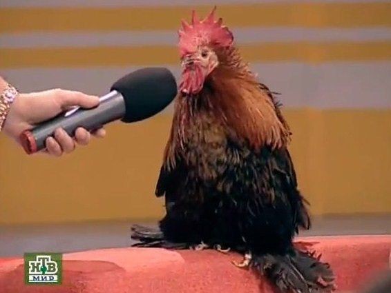 Интервью с токсиком. - Изображение 6 Интервью с токсиком. - Изображение 6